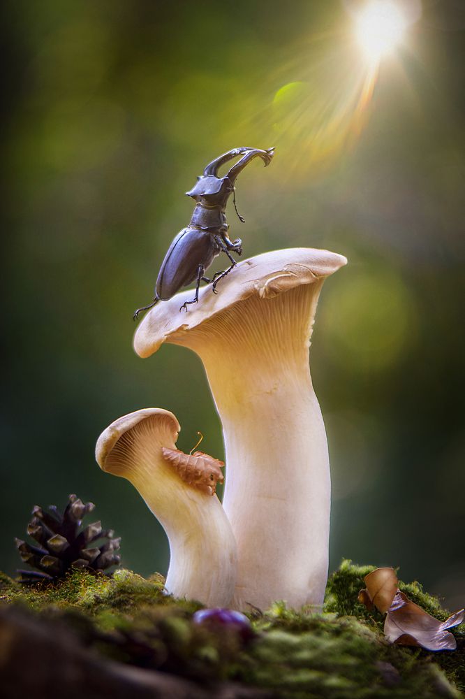 Photograph by Виктория Быканова