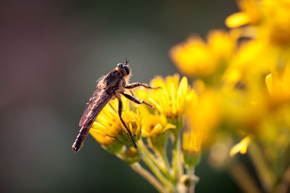Photograph by Александр Войтко