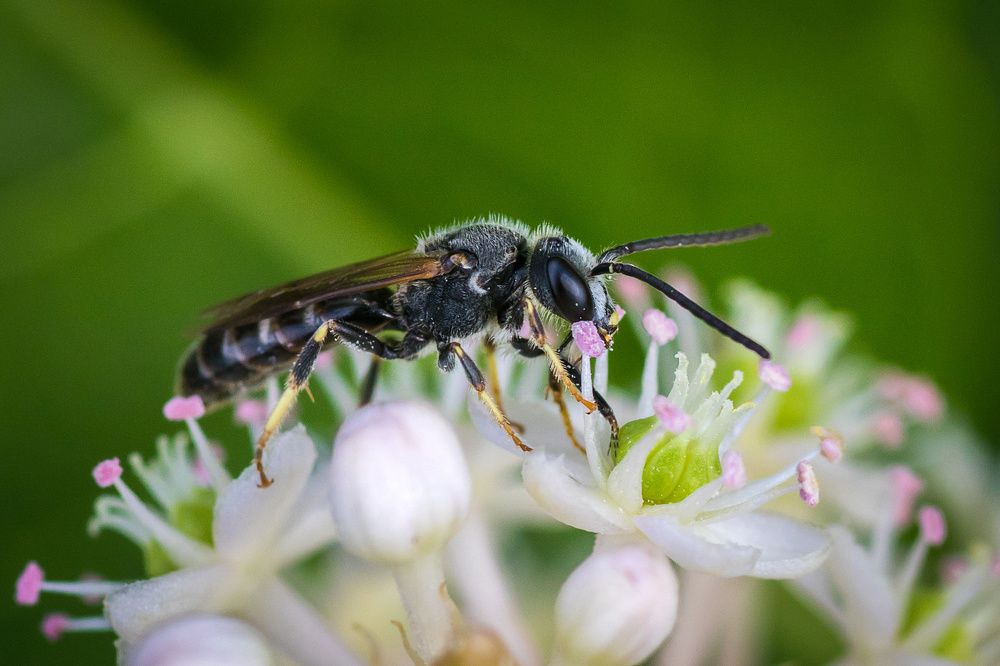 Photograph by Александр Войтко