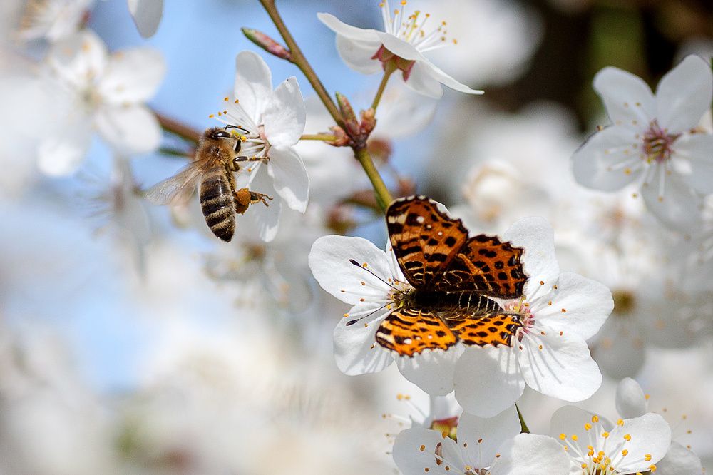 Photograph by Александр Войтко