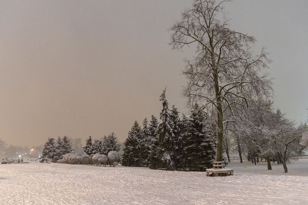 Photograph by Александр Войтко