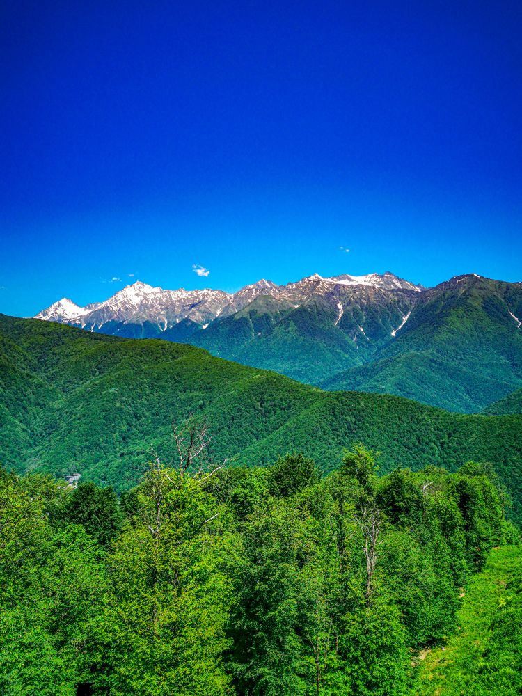 Фотография автора Дмитрий Лебедь