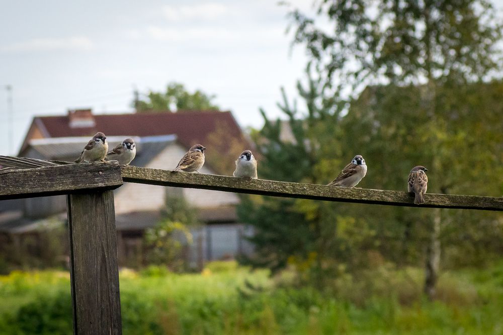 Photograph by Александр Войтко