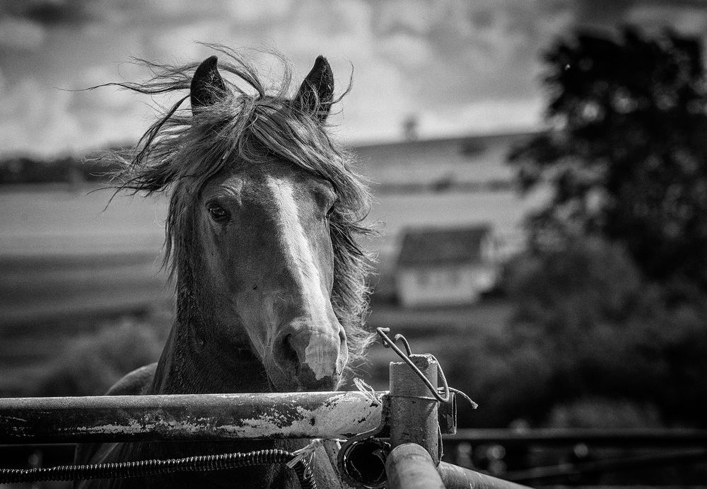 Photograph by Тамара Андреева