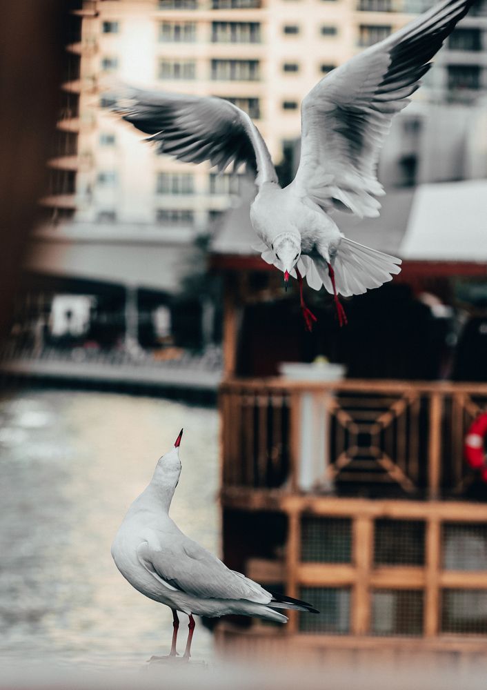 Фотография автора @theisoyan