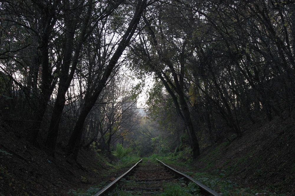 Photograph by Алексей Ролин