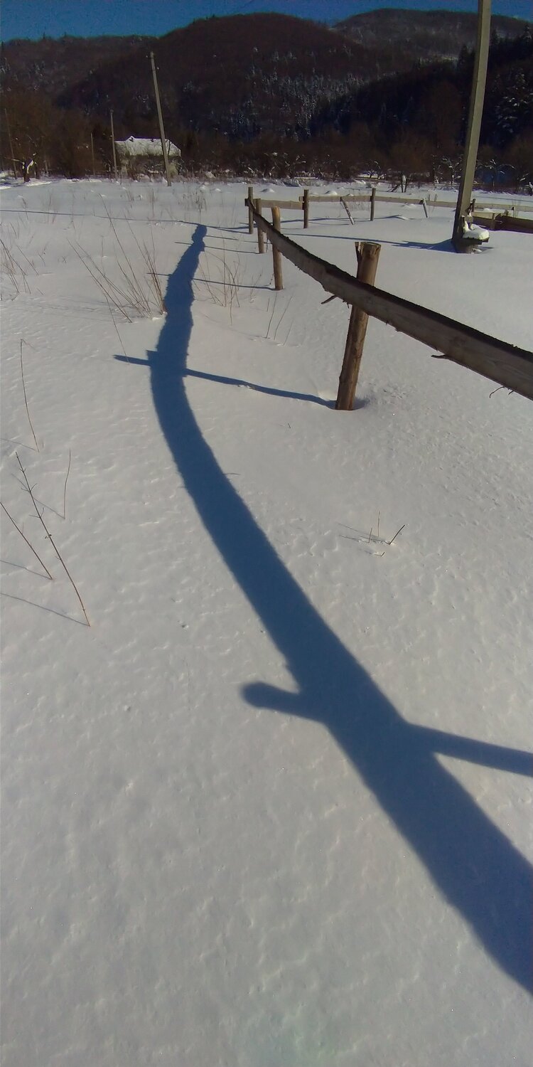 Photo #5764764