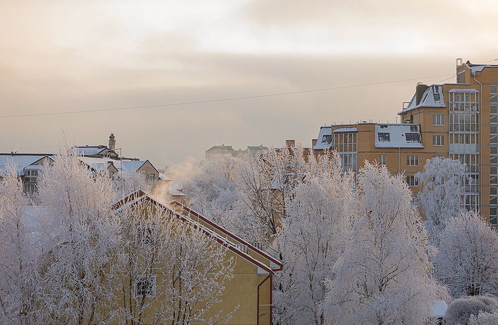 Фотография автора Ольга Трифонова