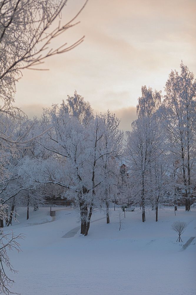Фотография автора Ольга Трифонова