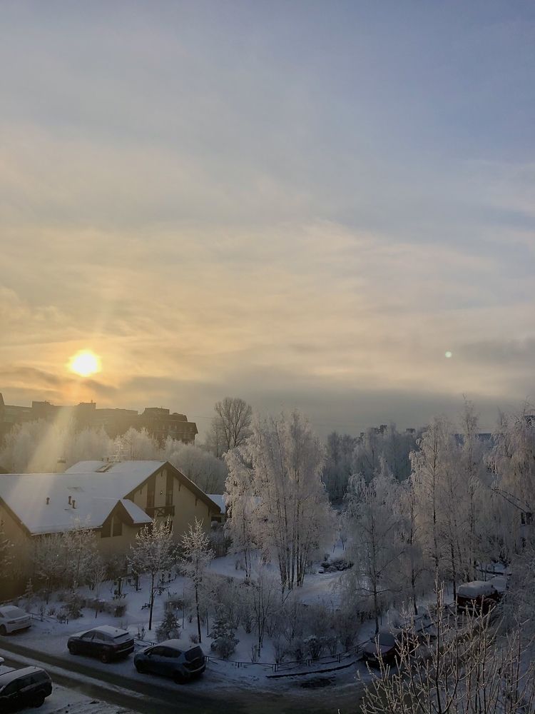 Фотография автора Ольга Трифонова