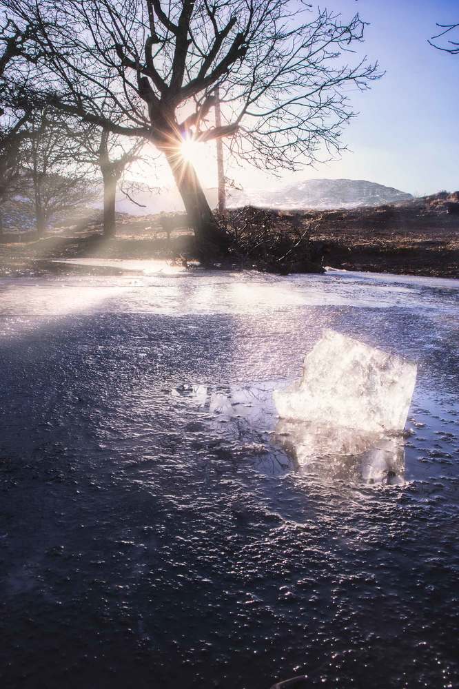 Photograph by Nima Almasi