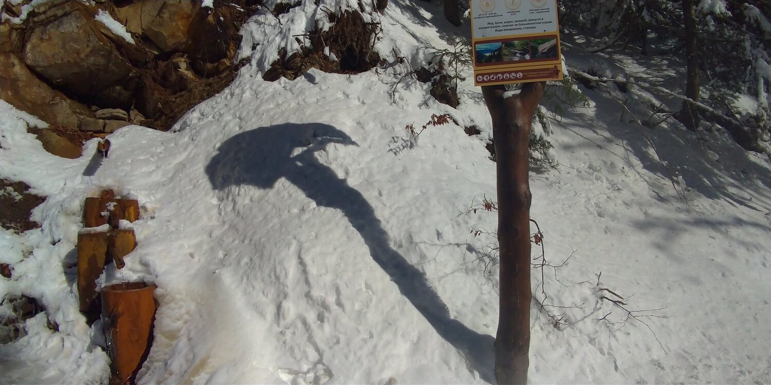 Photo #5764832