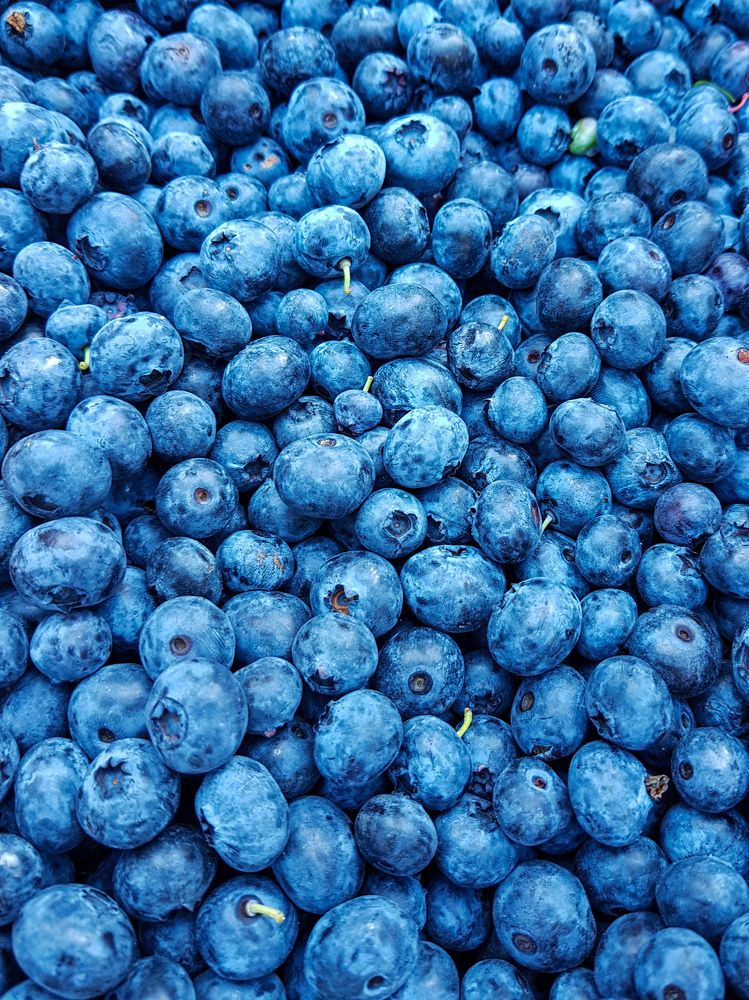 Photograph by Ilya Kubanov