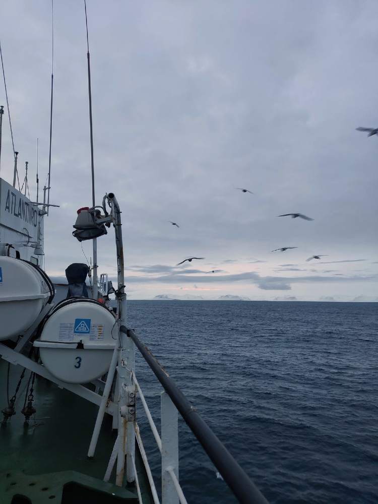 Холодная синева