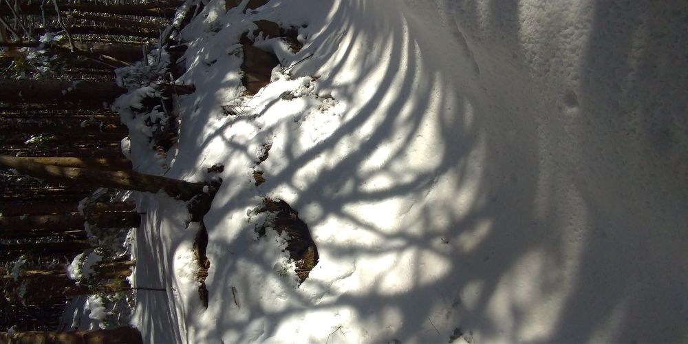 Photo #5764885