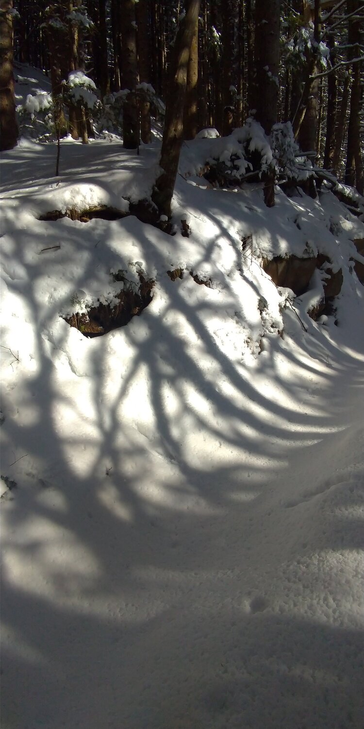 Photo #5764885