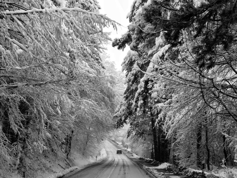 Photograph by Ana Bakic