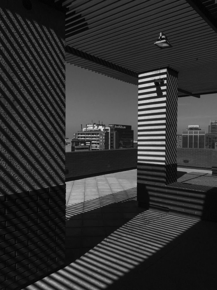 Фотография автора david xavier de carvalho