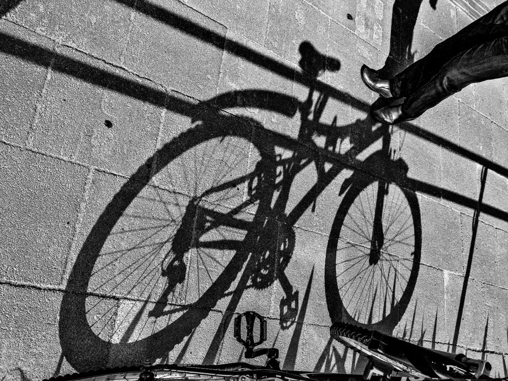 Фотография автора david xavier de carvalho