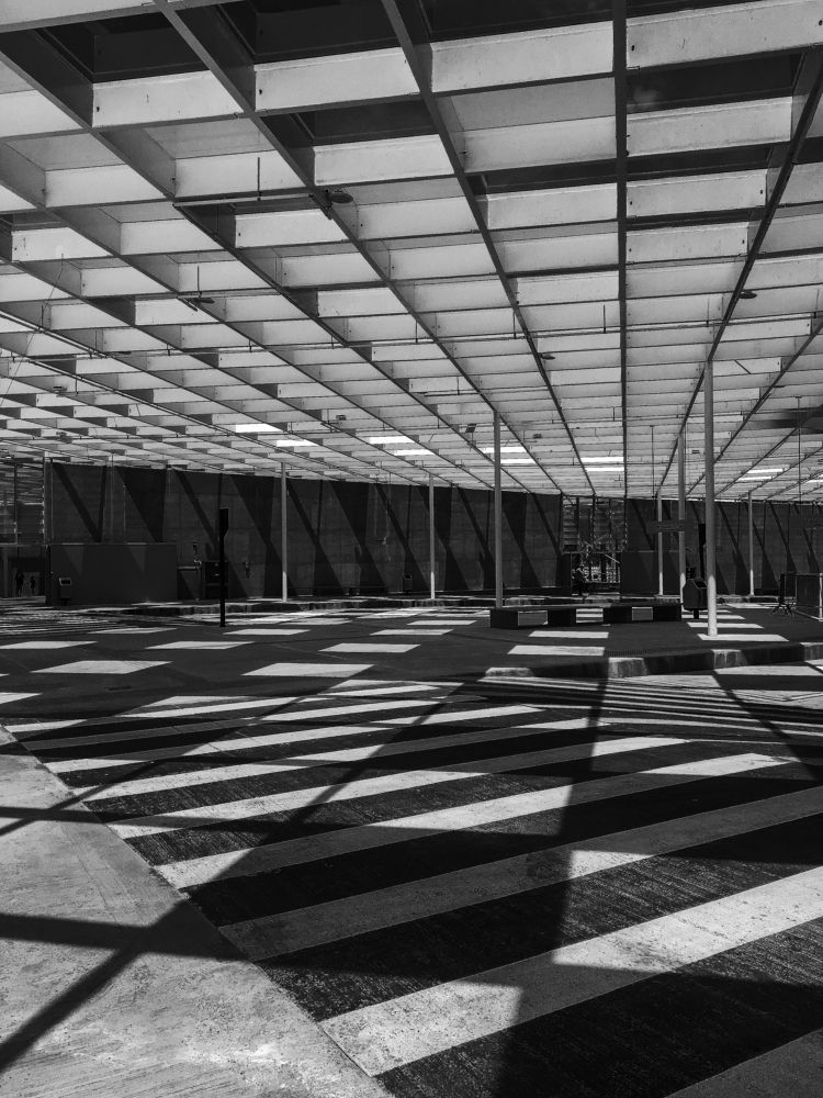 Фотография автора david xavier de carvalho