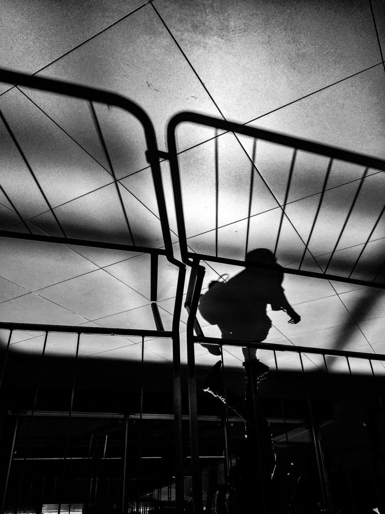 Фотография автора david xavier de carvalho