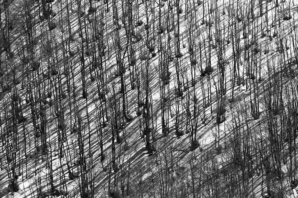 Photograph by Goran Bisić