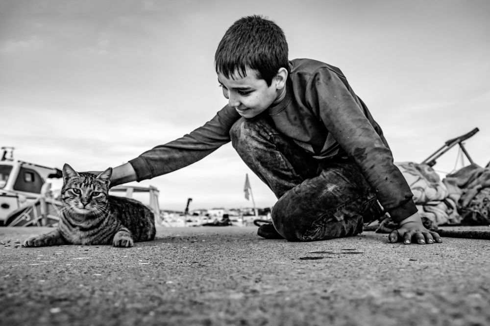 Photograph by Hasan Bayrak