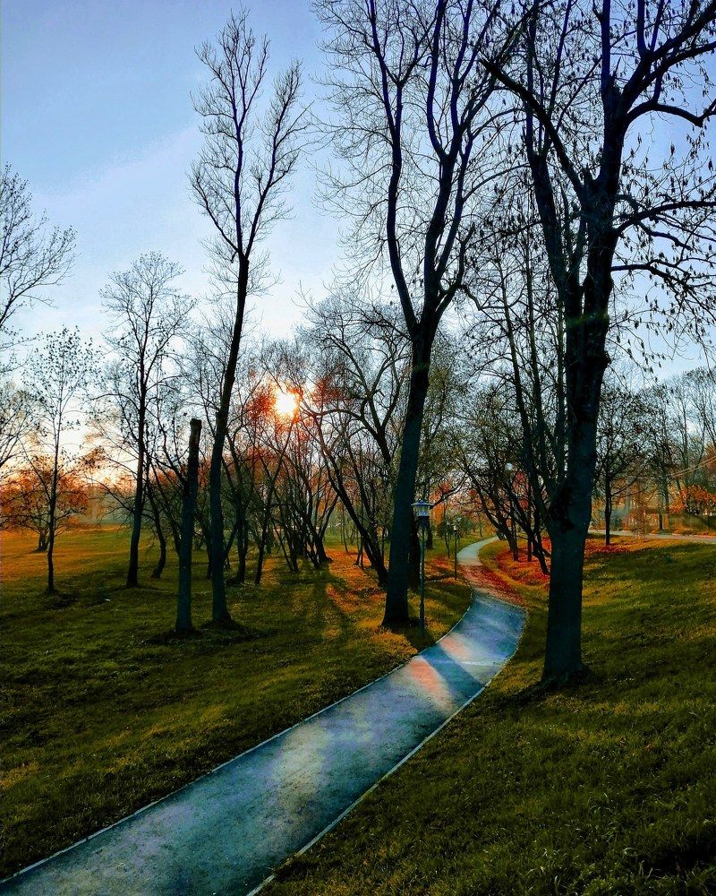 Photograph by Михаил Бородкин