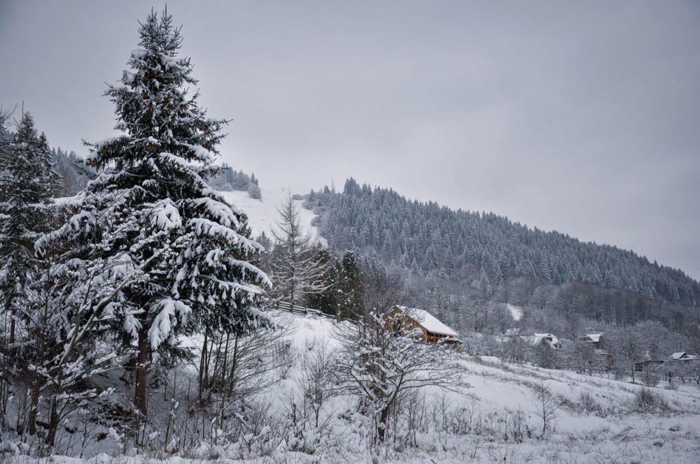 Photograph by Ольга Кудина