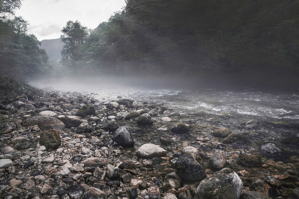 Photograph by Мария Буданова