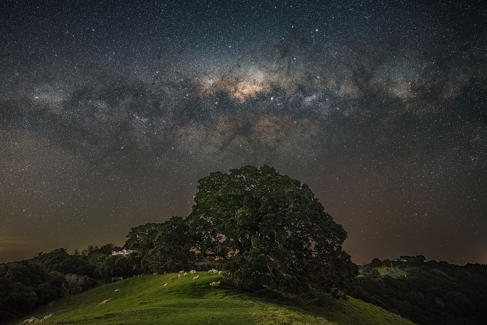 Photograph by Tomoya Osa