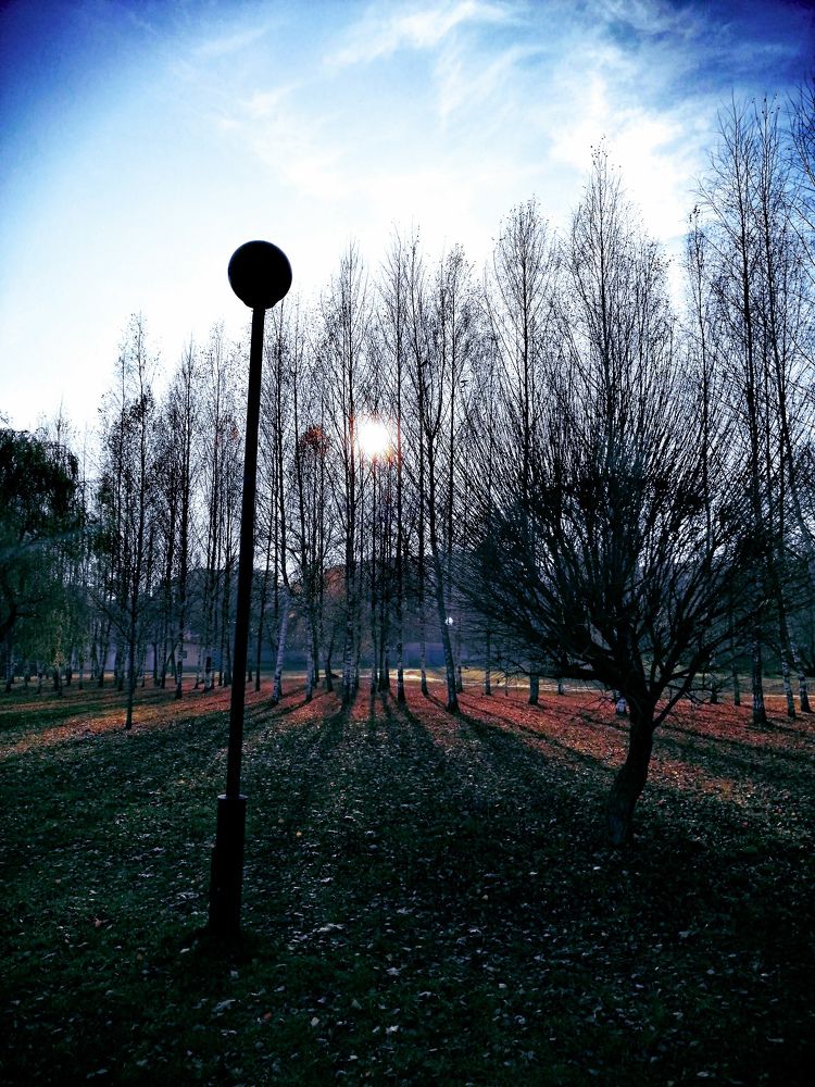 Photograph by Михаил Бородкин