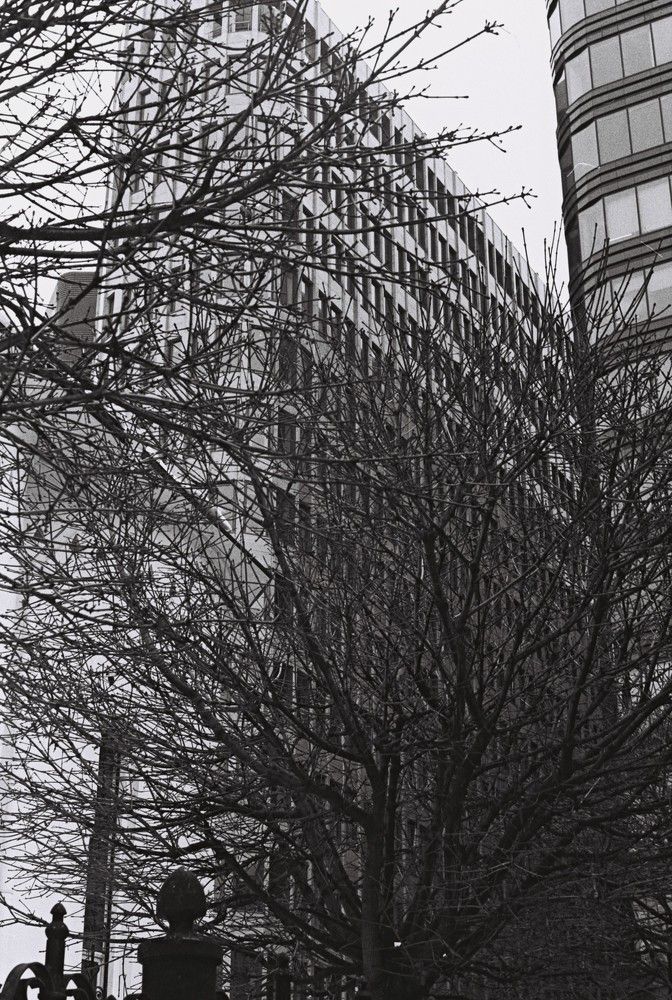 Photograph by Антон Гапоненко