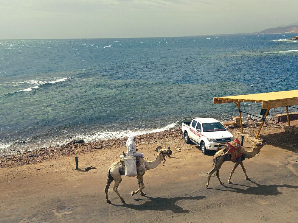 Photograph by Marwan Mustafa