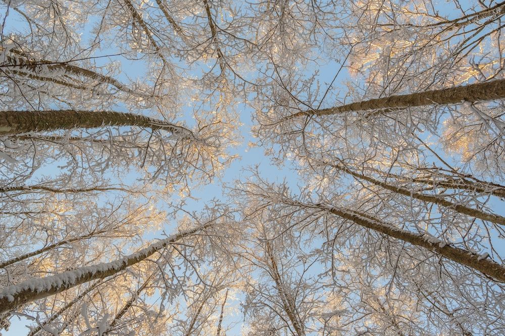 Photograph by Дарья Меркулова