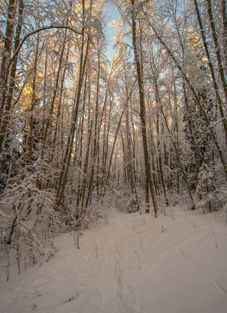 Photograph by Дарья Меркулова