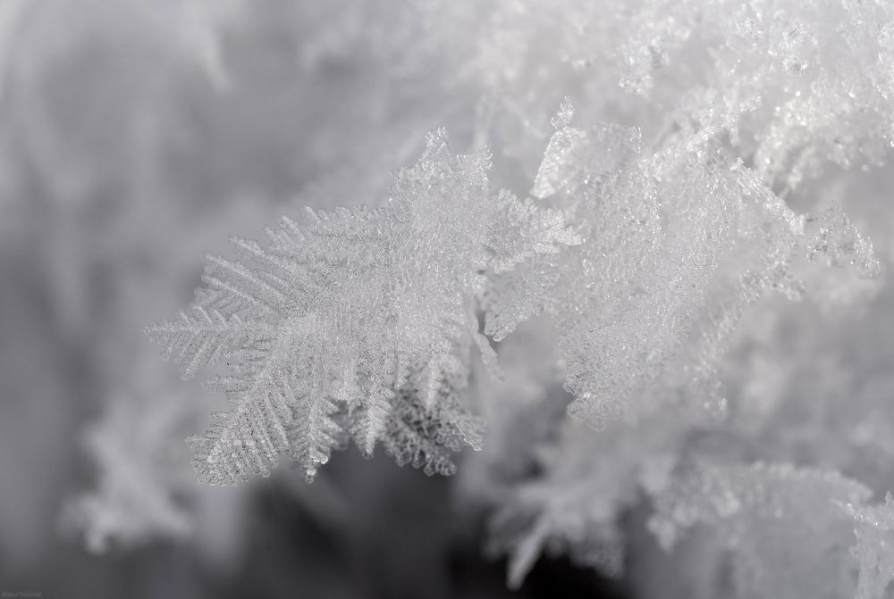 Photograph by Дарья Меркулова