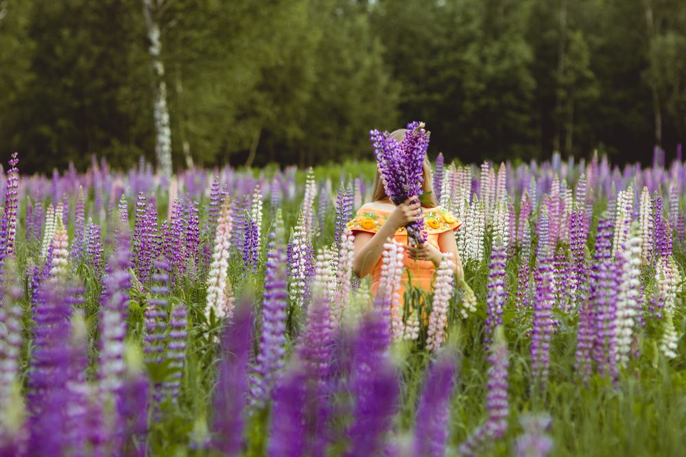 Photograph by Наталья Верхотурова