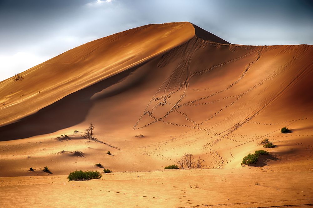 Photograph by Elena Gebert