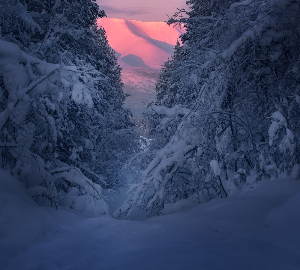 Photograph by Олег Семенкевич