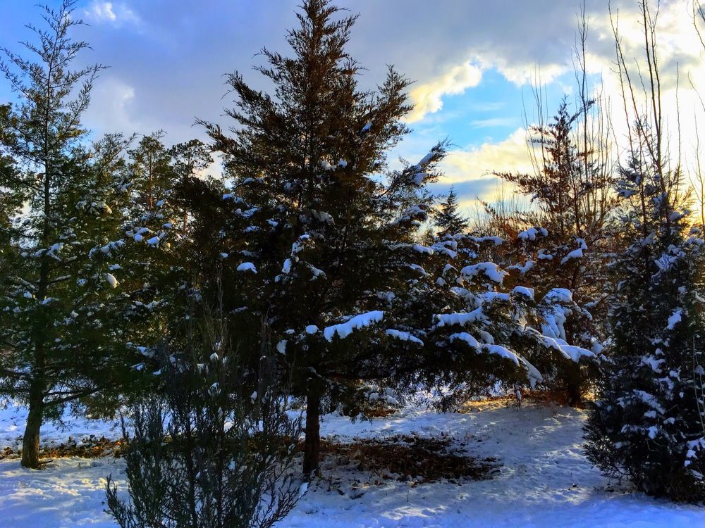 Photograph by Marine Sukiasyan