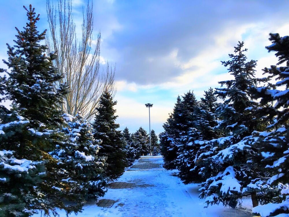 Photograph by Marine Sukiasyan