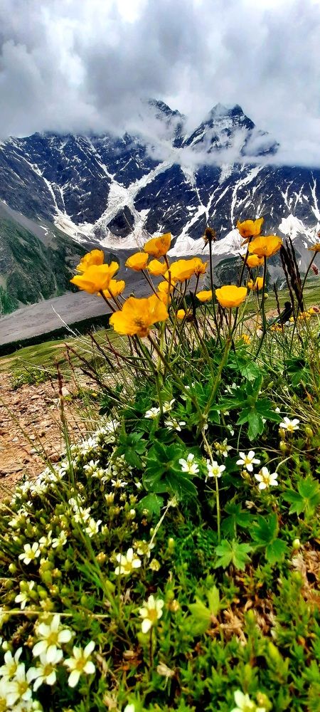 Photograph by Наталья Ганиченко