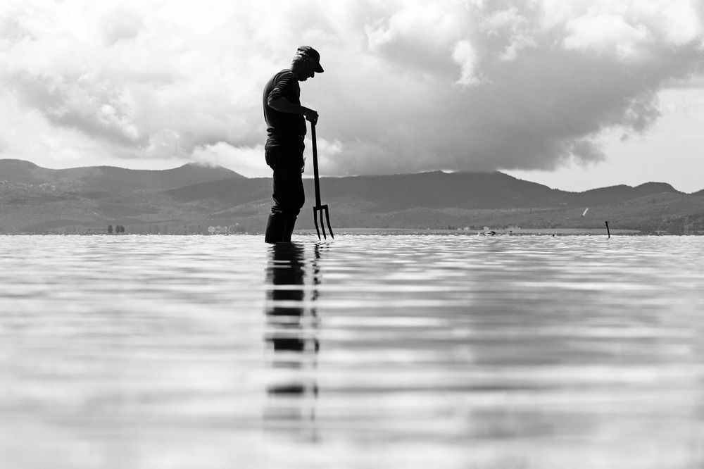 Photograph by Goran Bisić