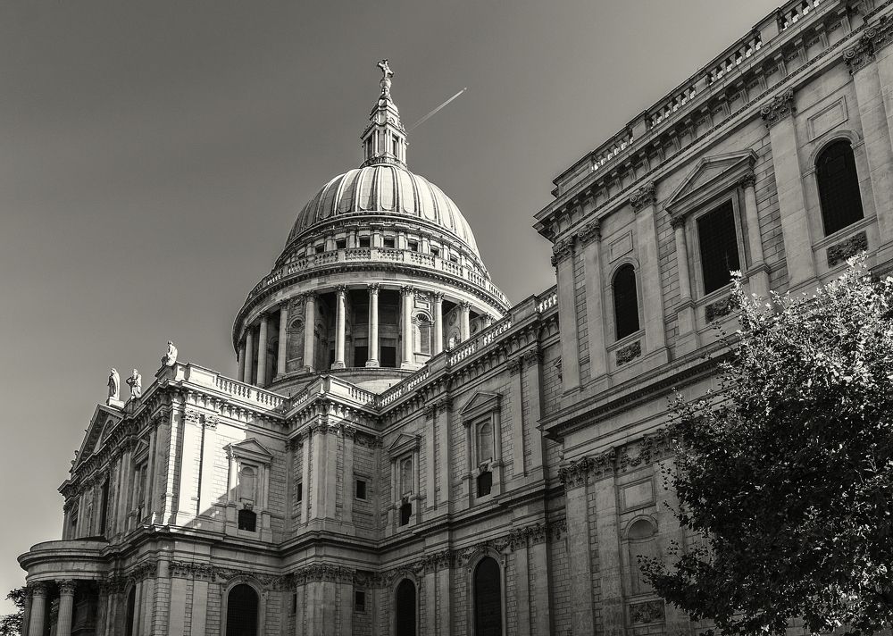 Фотография автора Sherine El Mously