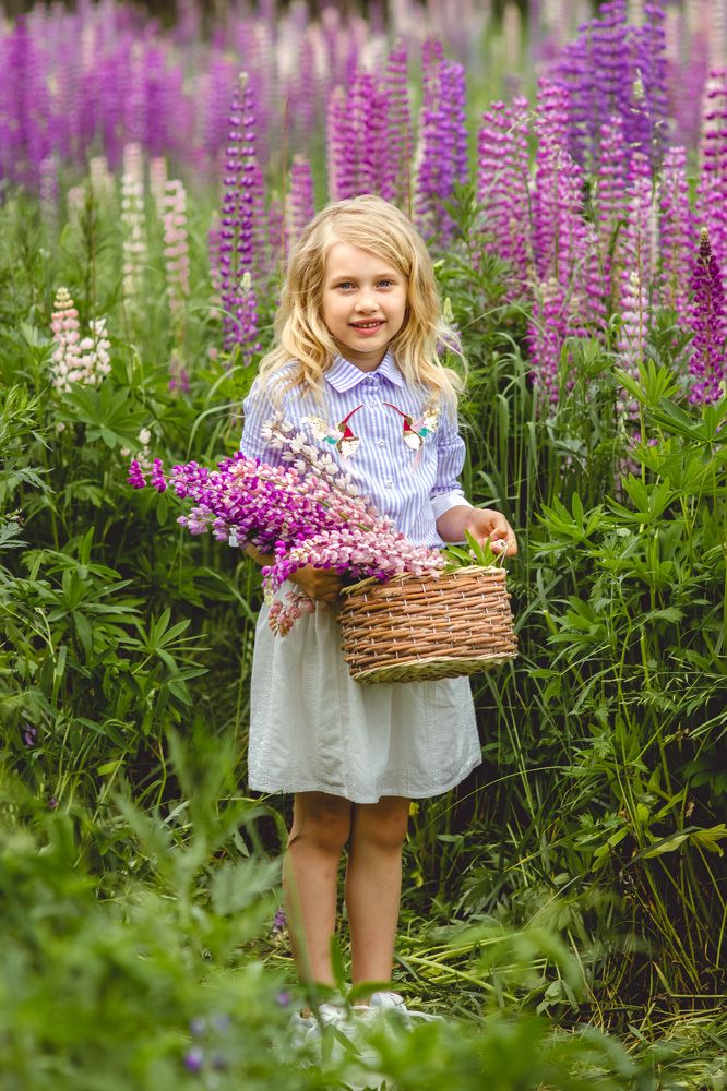 В розовых облаках ароматов