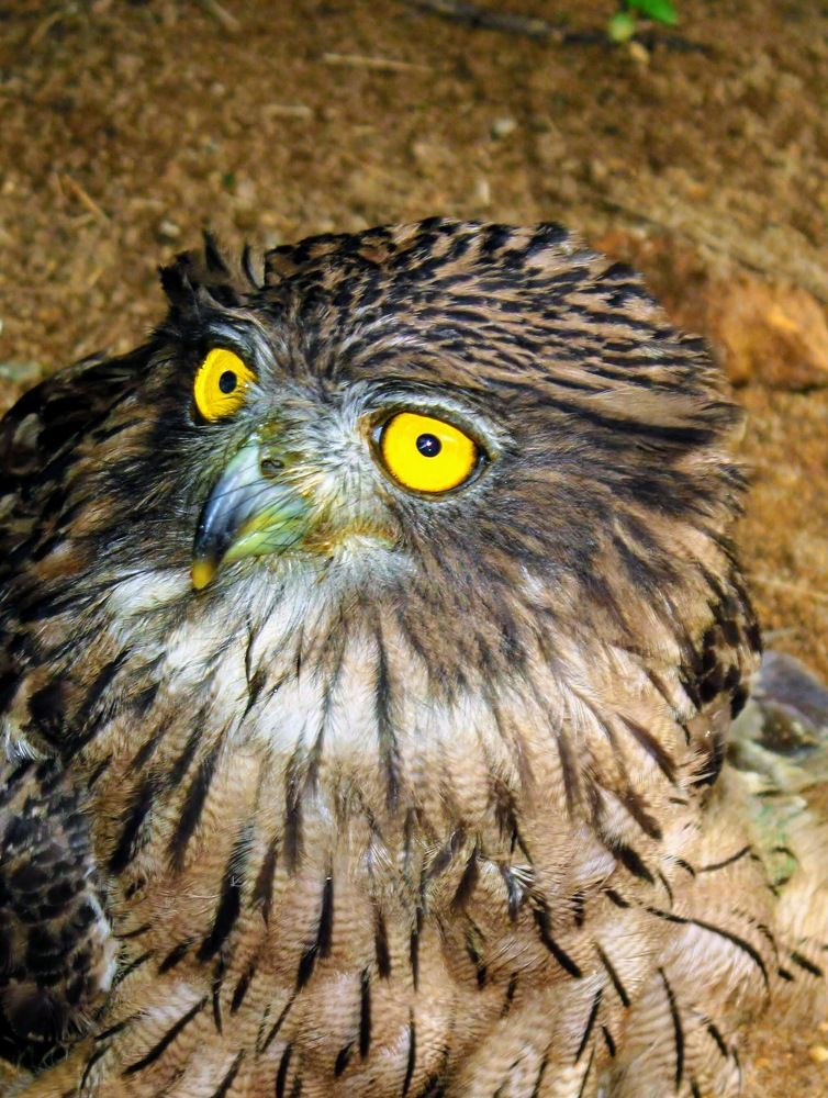 Photograph by Marine Sukiasyan