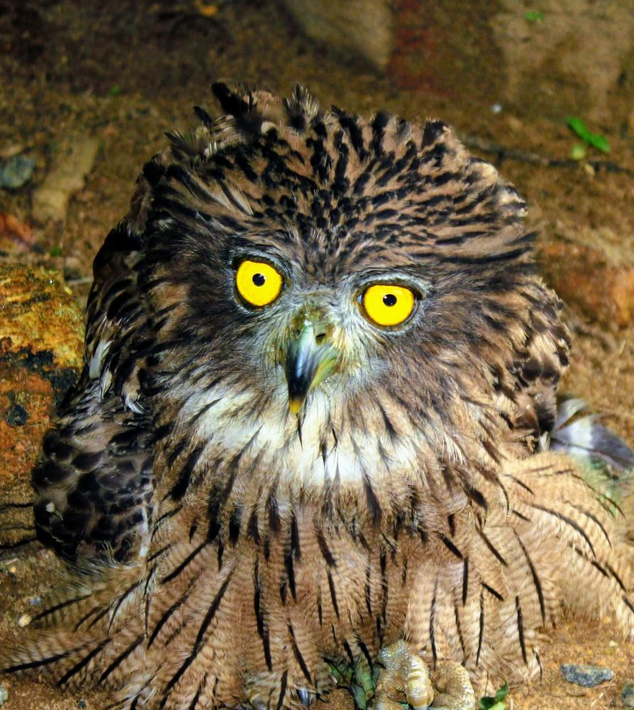 Photograph by Marine Sukiasyan