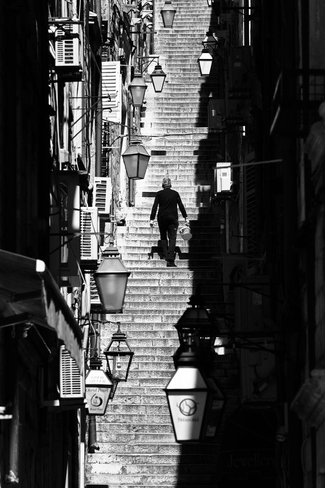 Photograph by Goran Bisić