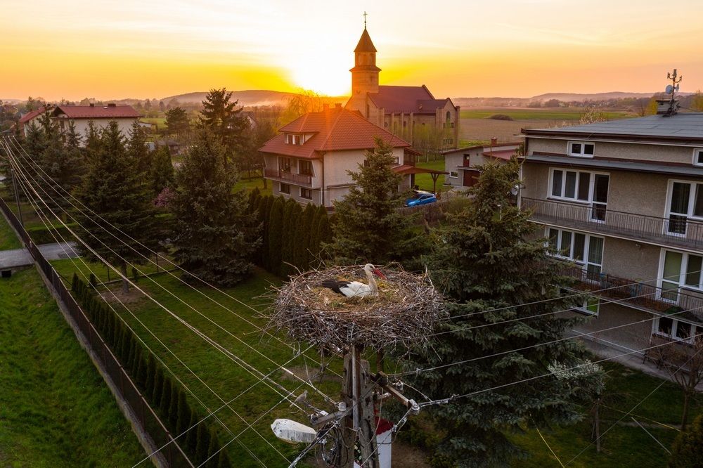 Photograph by Jan Ulicki